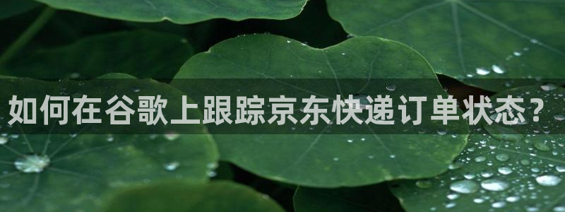 28圈代理落网：如何在谷歌上跟踪京东