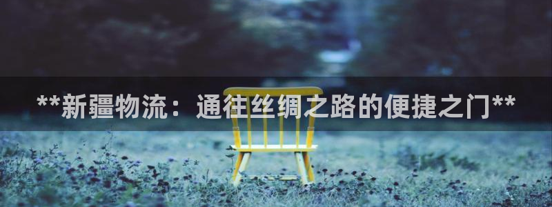 28圈.ccm官网：**新疆物流：通
