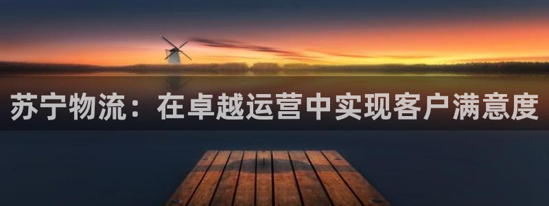 28圈ccm游戏：苏宁物流：在卓越运