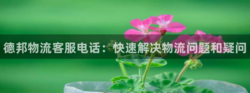 28圈账号注册：德邦物流客服电话：快