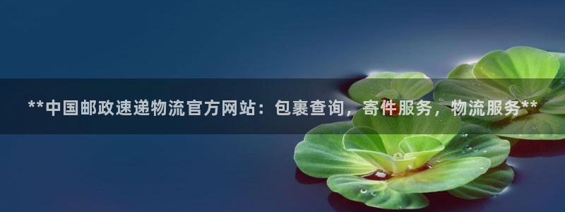 28圈怎么注册账号和密码：**中国邮