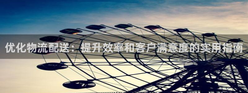 28圈预测：优化物流配送：提升效率和