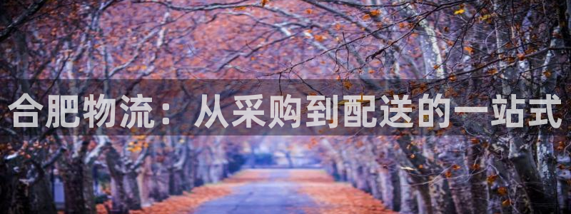 28圈哪个最赚钱：合肥物流：从采购到