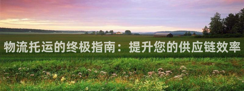 28圈加拿大最新版：物流托运的终极指
