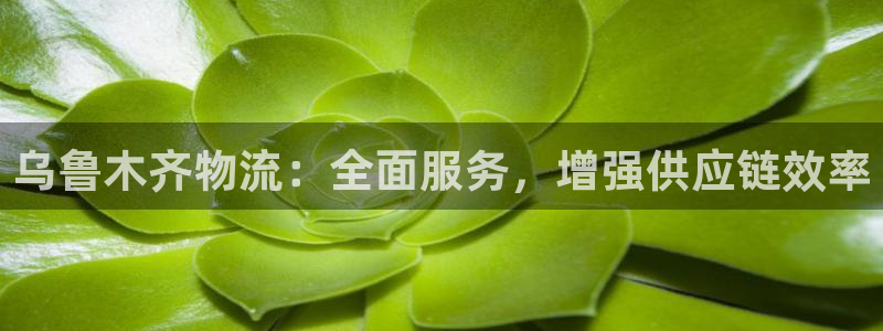 28圈游戏官网版：乌鲁木齐物流：全面