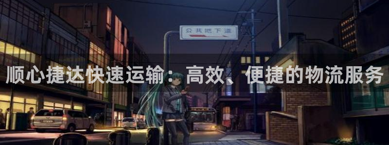 28圈忘记账号：顺心捷达快速运输：高