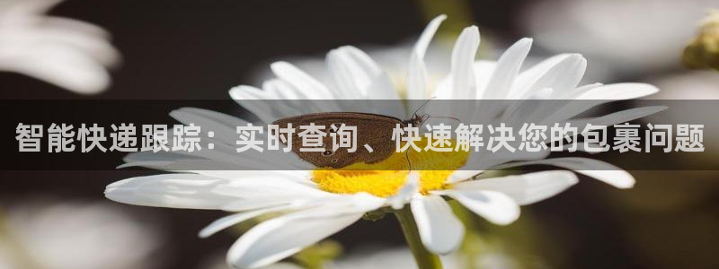 28圈加拿大是什么意思：智能快递跟踪