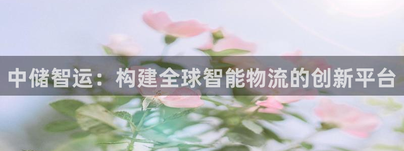 28圈注册链接入口：中储智运：构建全