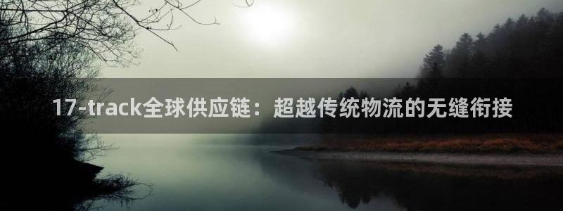 28圈玩法：17-track全球供应