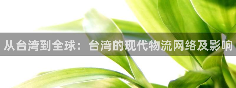 南宫28圈怎么注册：从台湾到全球：台