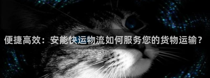 28圈充值不到账