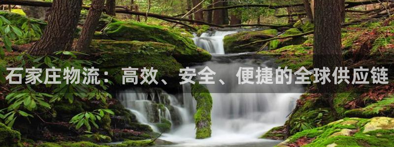 28圈怎么注册：石家庄物流：高效、安全、便捷的全球供应链