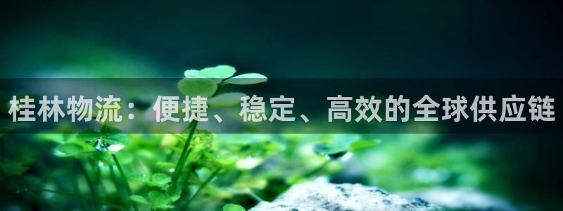 28圈怎么注册账号：桂林物流：便捷、