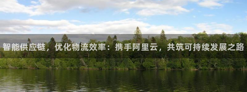 28圈注册网址：智能供应链，优化物流