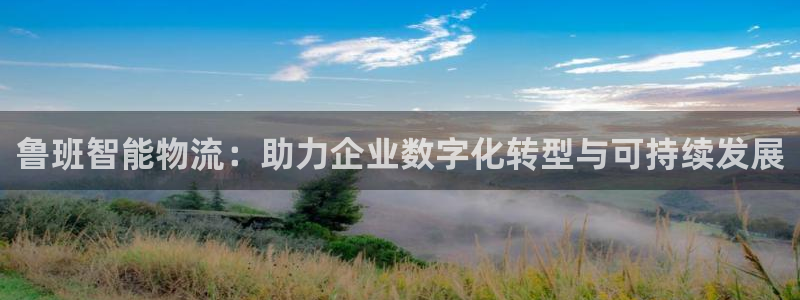 28圈加拿大能提现吗：鲁班智能物流：