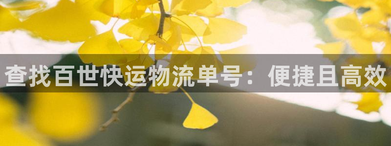 28圈分分压单双技巧：查找百世快运物