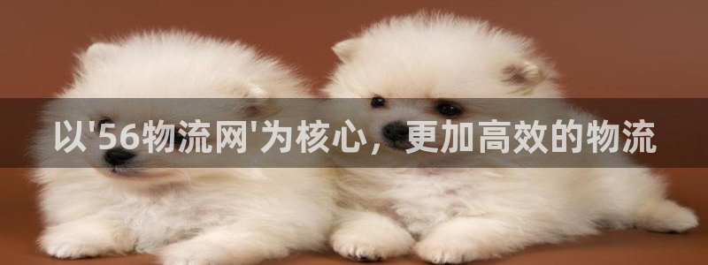 28圈注册网站谁有：以\'56物流网