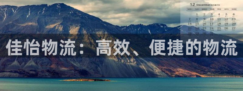 28圈游戏官网平台：佳怡物流：高效、