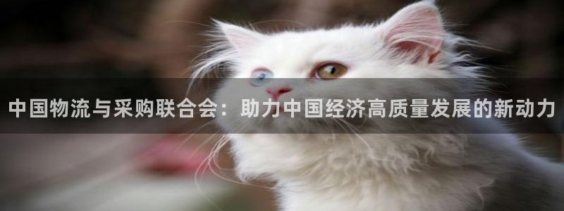 28圈游戏最新版：中国物流与采购联合