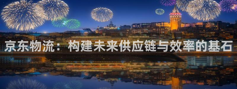 28圈下载二维码：京东物流：构建未来