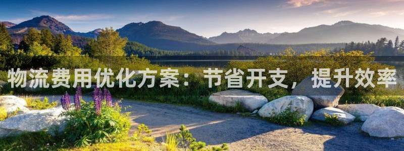 28圈可以退款吗：物流费用优化方案：