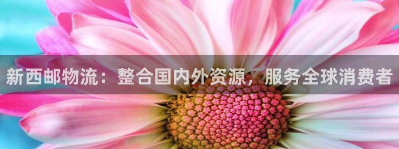 28圈起来的符号：新西邮物流：整合国