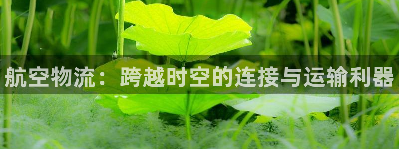 28圈模拟器在线使用：航空物流：跨越