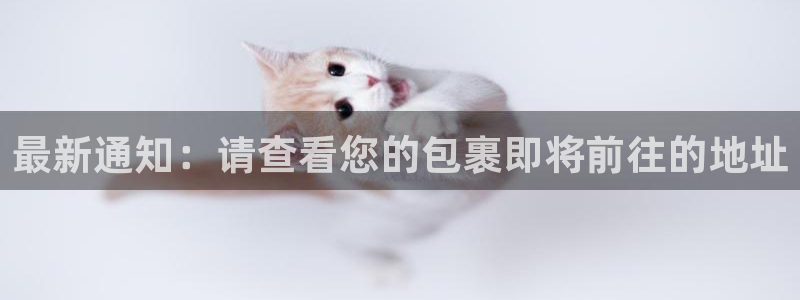 28圈推广链接是多少钱一个：最新通知