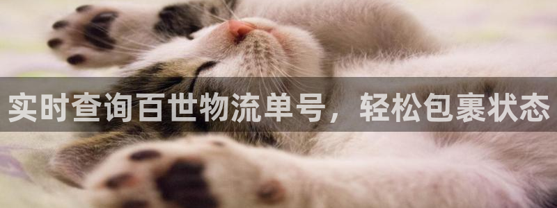 28圈犯法吗：实时查询百世物流单号，