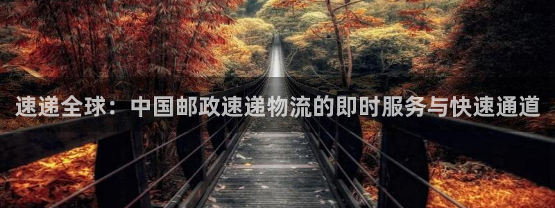 28圈官方版正版：速递全球：中国邮政