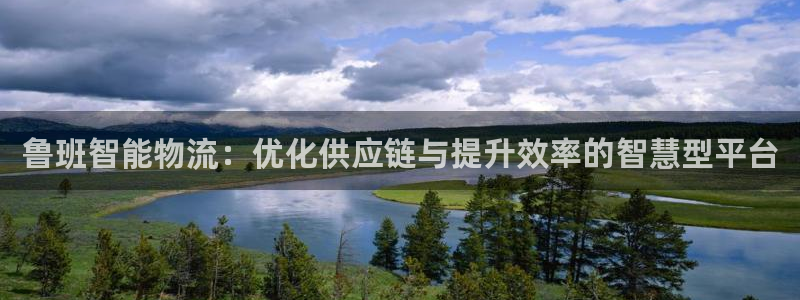 28圈相信品牌的力量：鲁班智能物流：