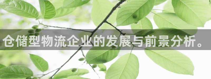 28圈头像