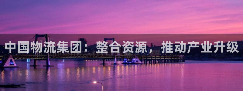 28圈黑不黑：中国物流集团：整合资源