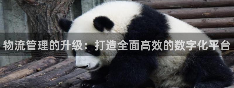28圈为什么没有赢过一次