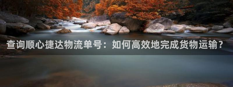 28圈分分28预测