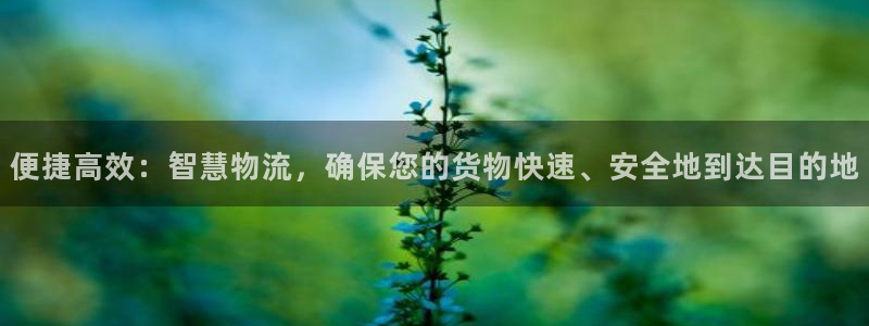 28圈违法吗