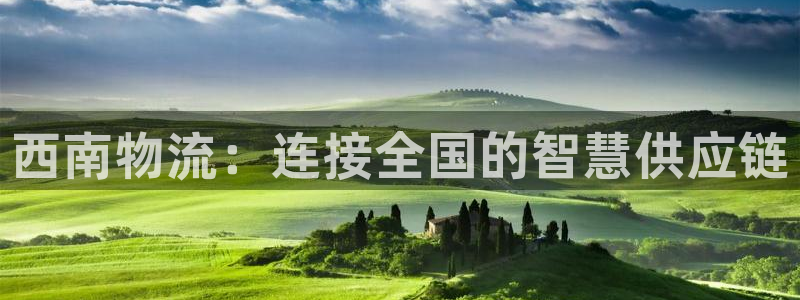 28圈正规吗：西南物流：连接全国的智慧供应链