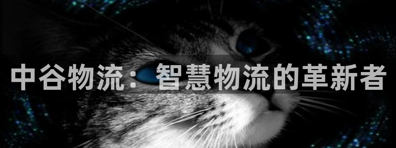 28圈注册二维码：中谷物流：智慧物流