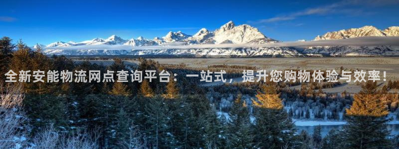28圈ip被限制怎么解决：全新安能物流网点查询平台：一站式，