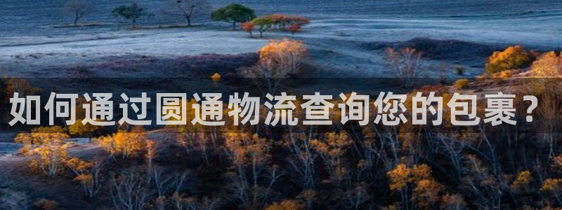28圈注册账号：如何通过圆通物流查询