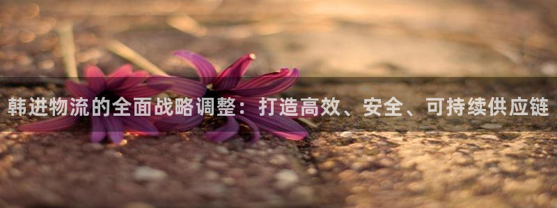 28圈注册链接教程：韩进物流的全面战