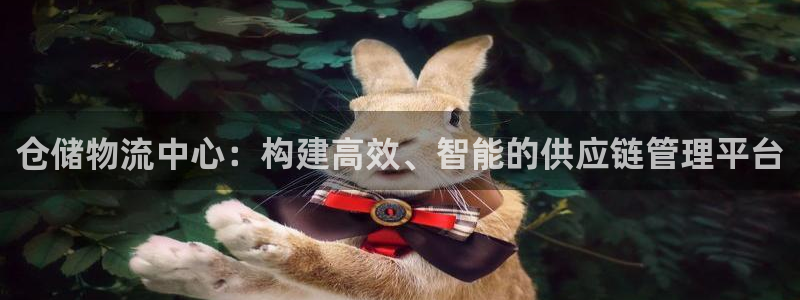 28圈链官网：仓储物流中心：构建高效