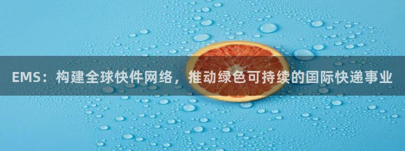 28圈充值不处理：EMS：构建全球快