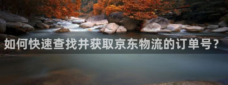 28圈免费充钱