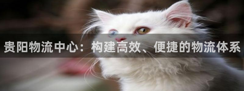 28圈二维码：贵阳物流中心：构建高效
