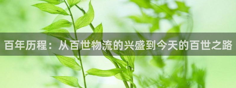 28圈注册用户名是什么：百年历程：从