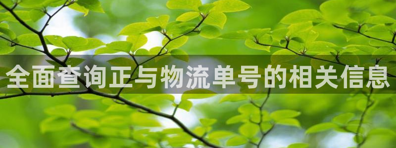 28圈加拿大技巧：全面查询正与物流单