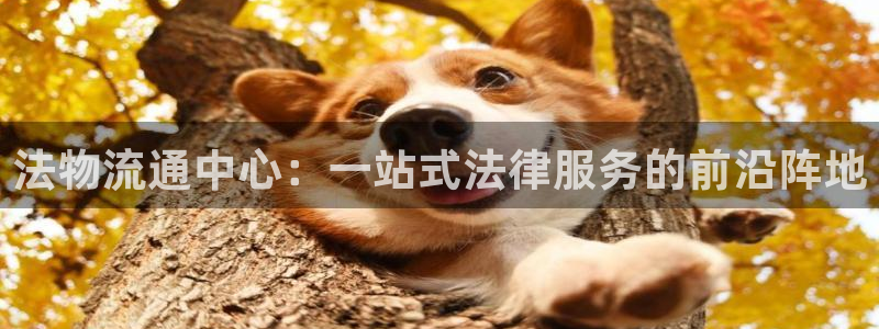 28圈大舞台：法物流通中心：一站式法