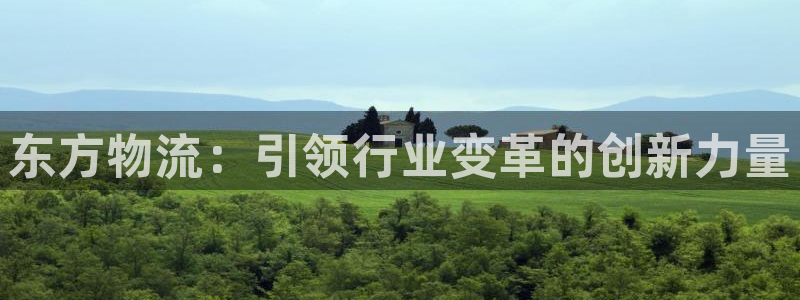 28圈游戏：东方物流：引领行业变革的