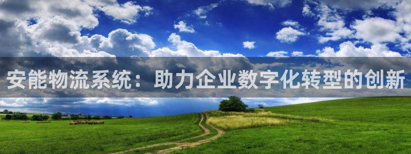 28圈不给提现：安能物流系统：助力企